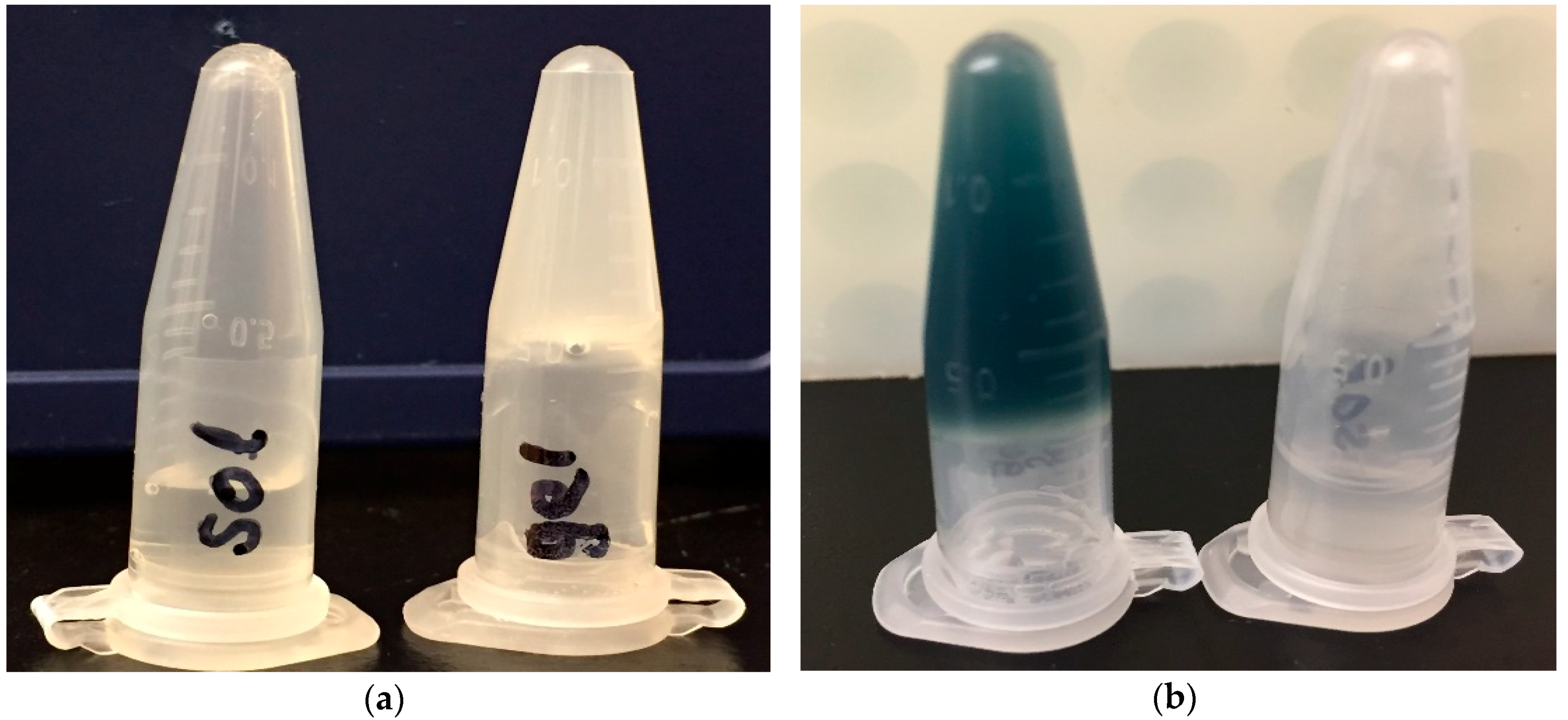 Vaccines 07 00073 g001 Vaccines 07 00073 g001