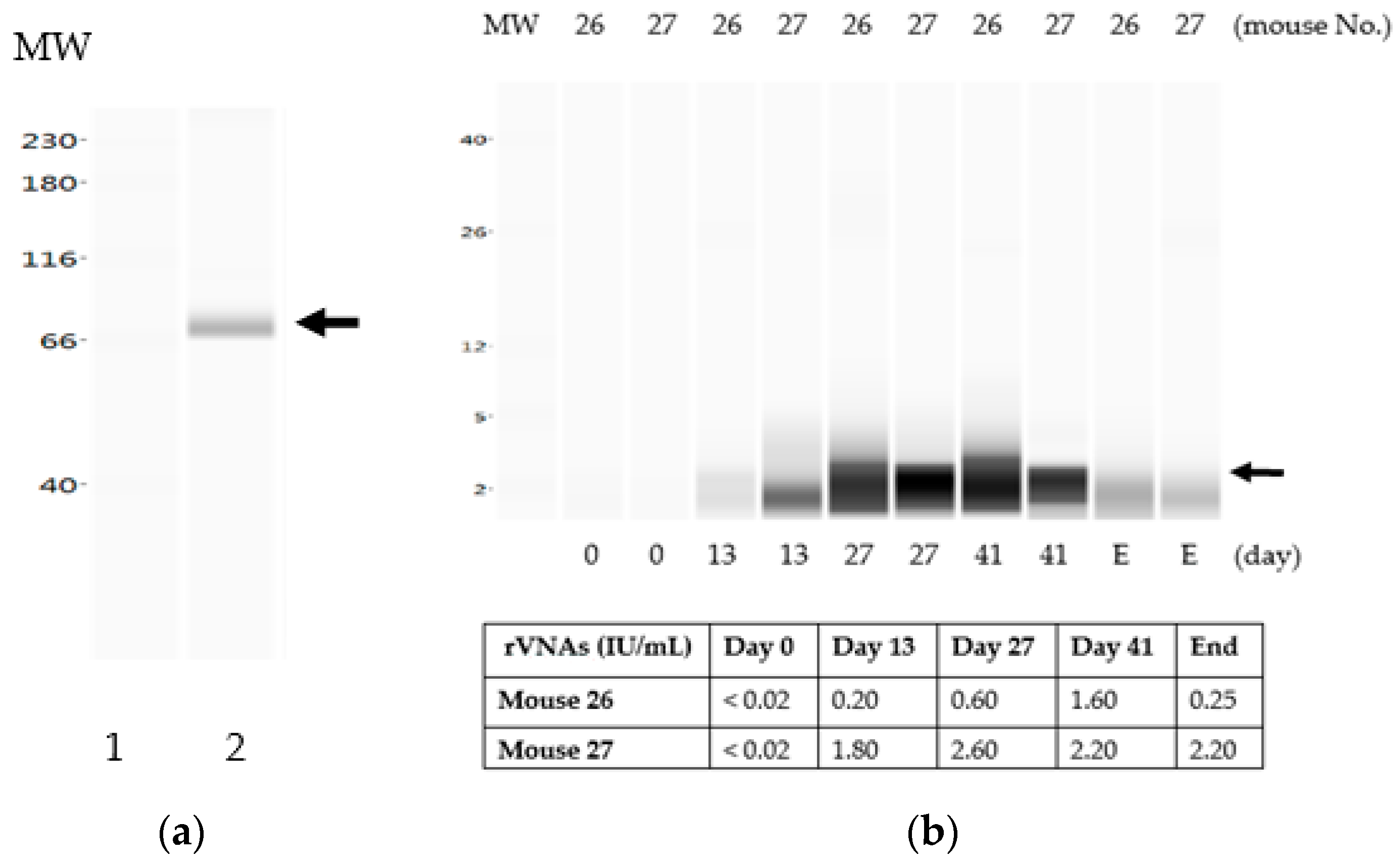 Vaccines 07 00073 g003 Vaccines 07 00073 g003