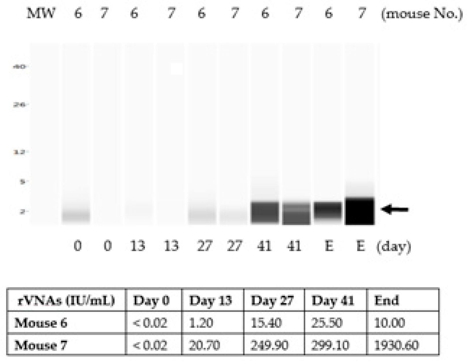 Vaccines 07 00073 g004 Vaccines 07 00073 g004