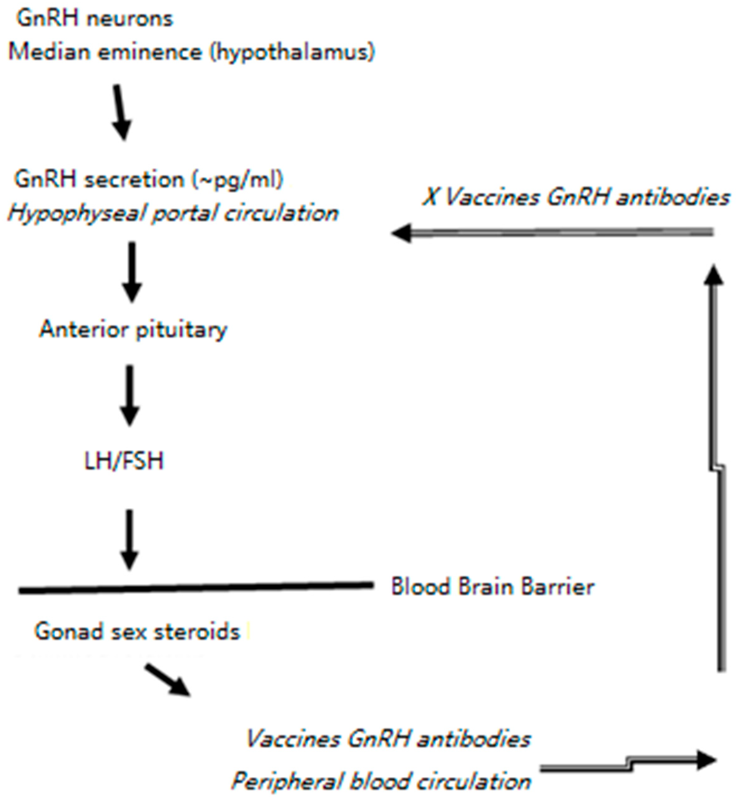 Vaccines 07 00073 g005 Vaccines 07 00073 g005
