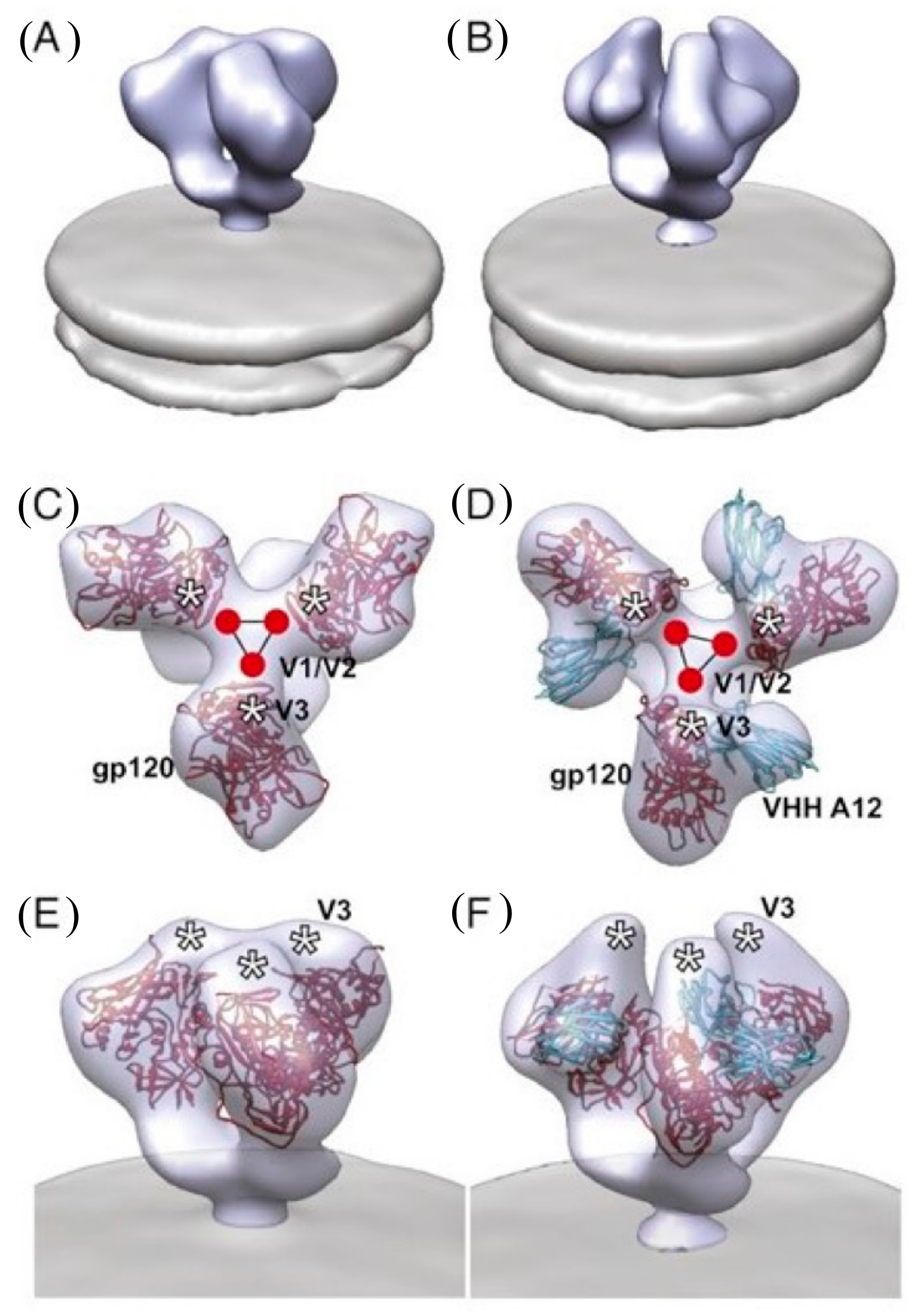 Vaccines 07 00077 g005 Vaccines 07 00077 g005