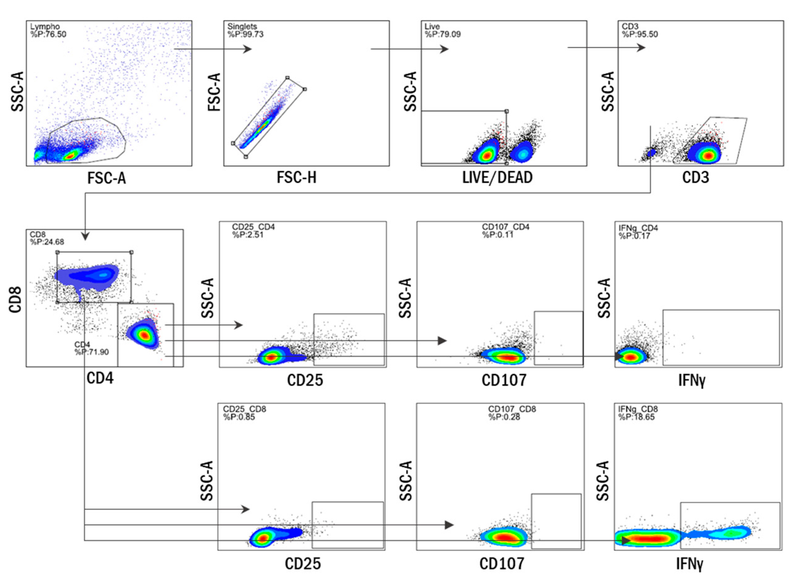 Vaccines 07 00181 g0a1