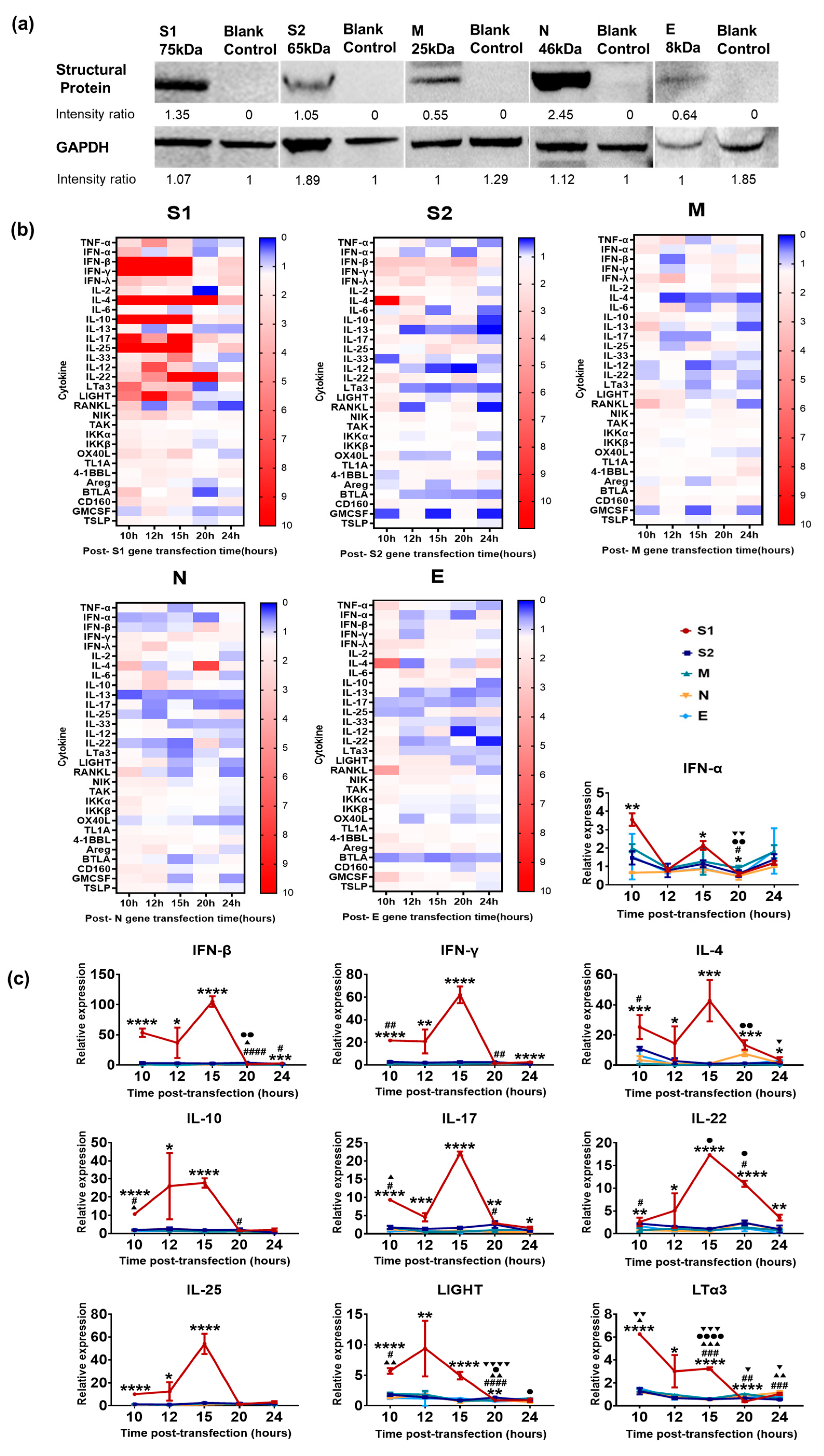 Vaccines 11 00524 g002