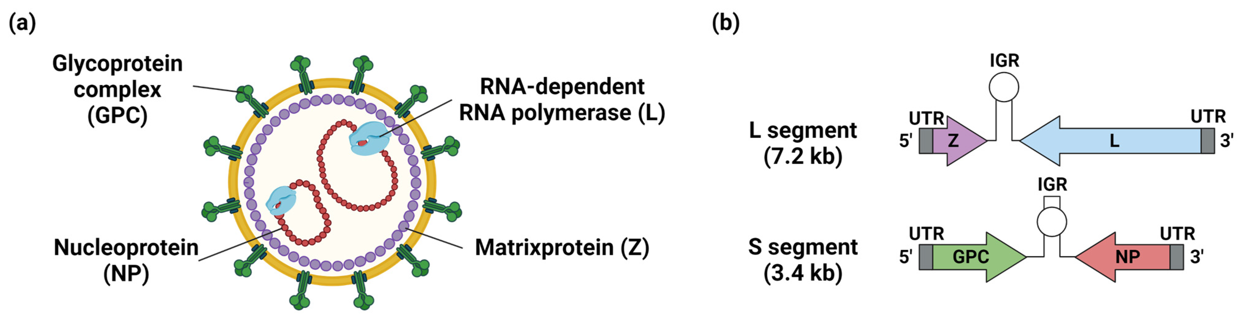 Vaccines 11 00635 g003