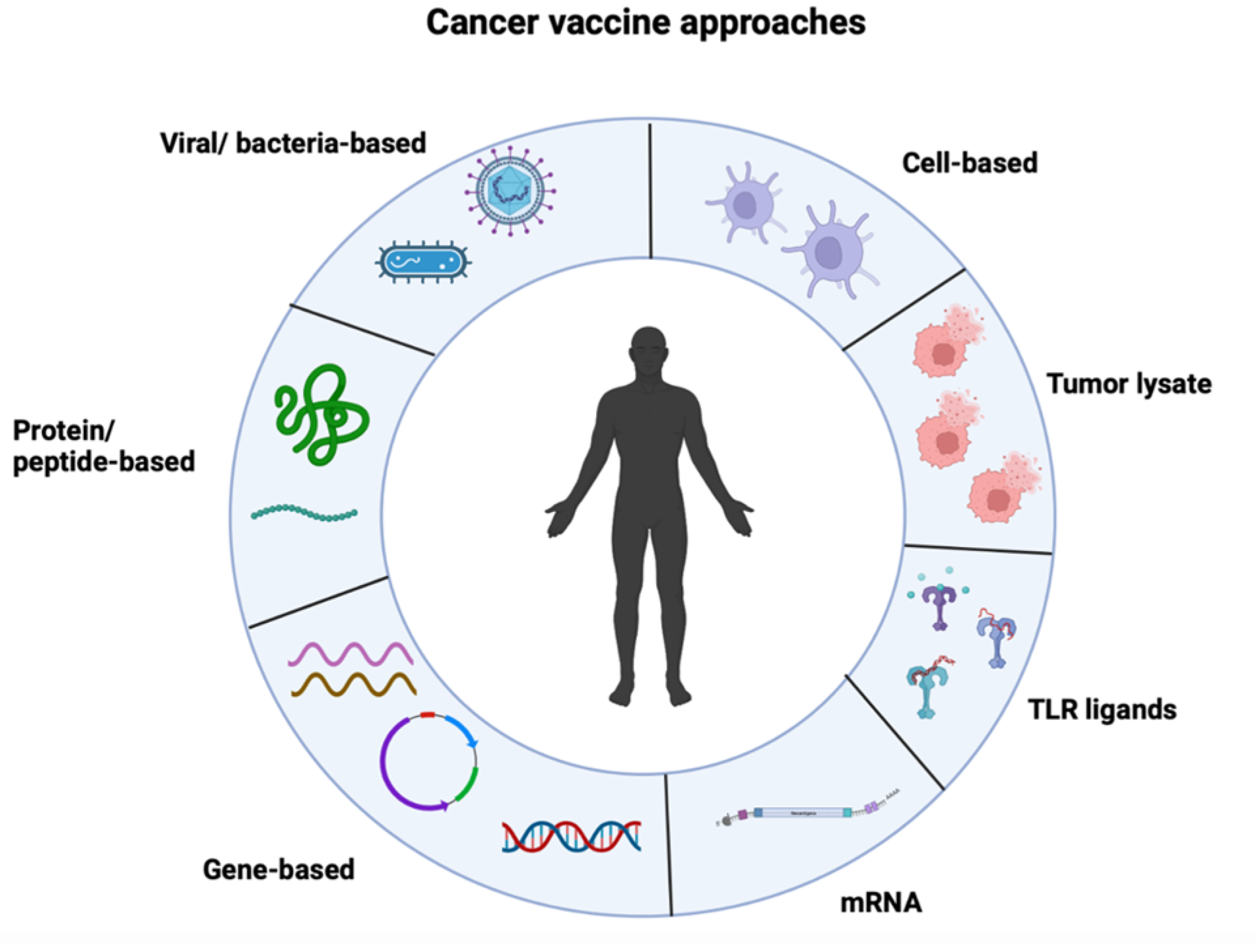 Vaccines 11 01465 g001