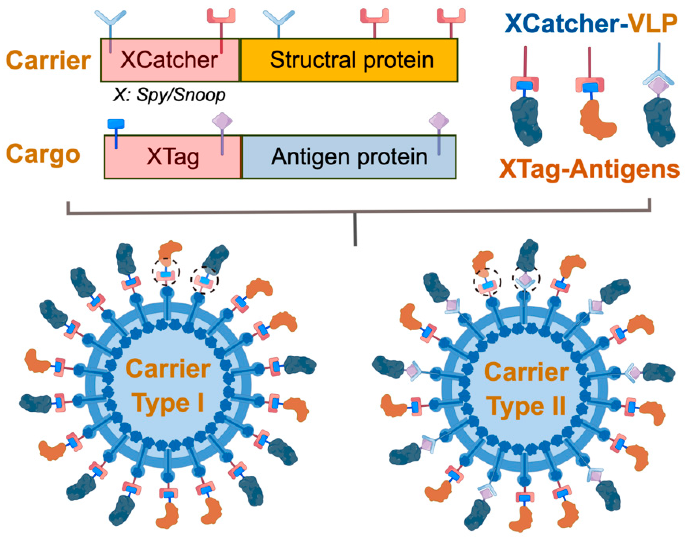 Vaccines 11 01506 g002