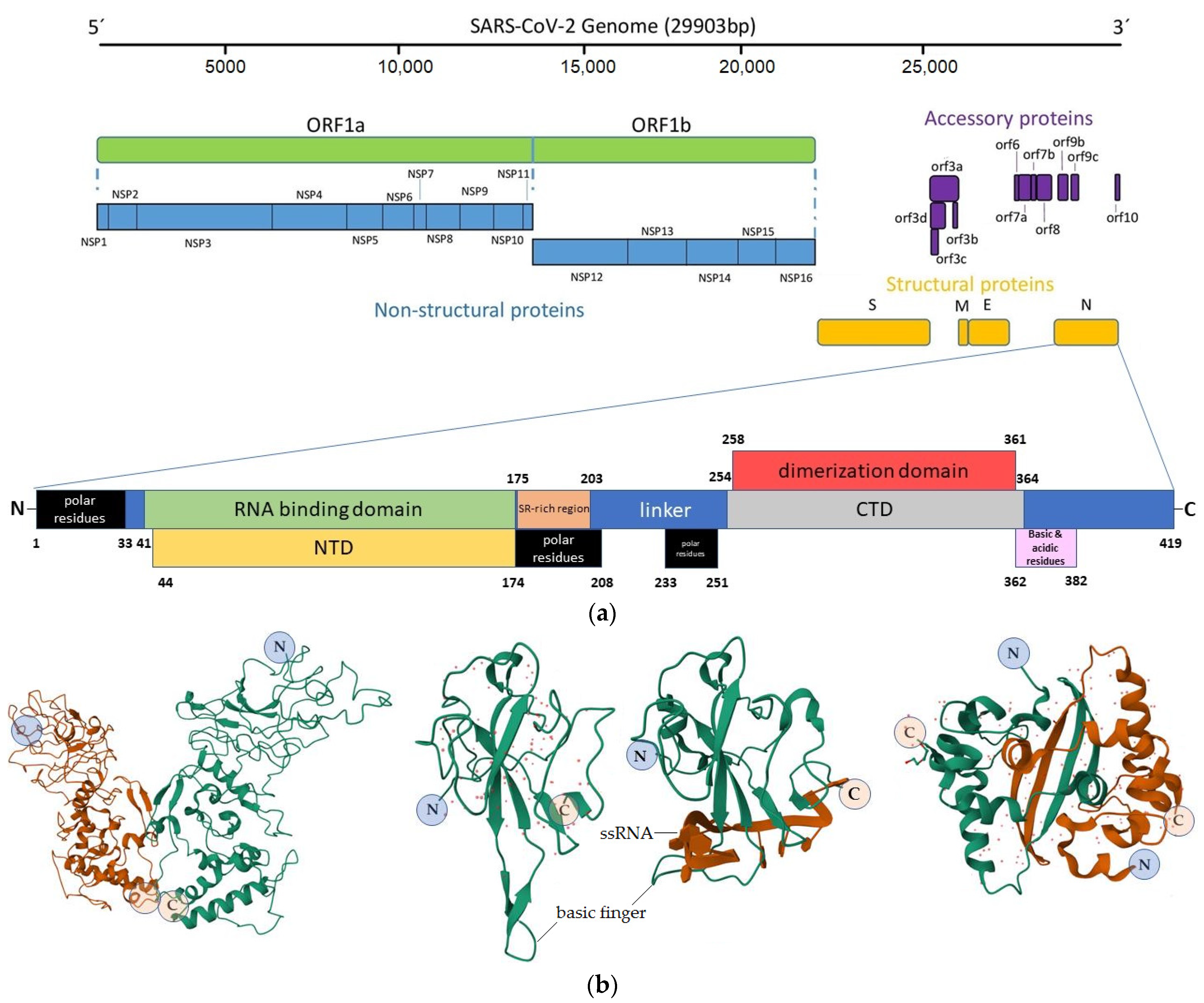 Vaccines 11 01810 g001