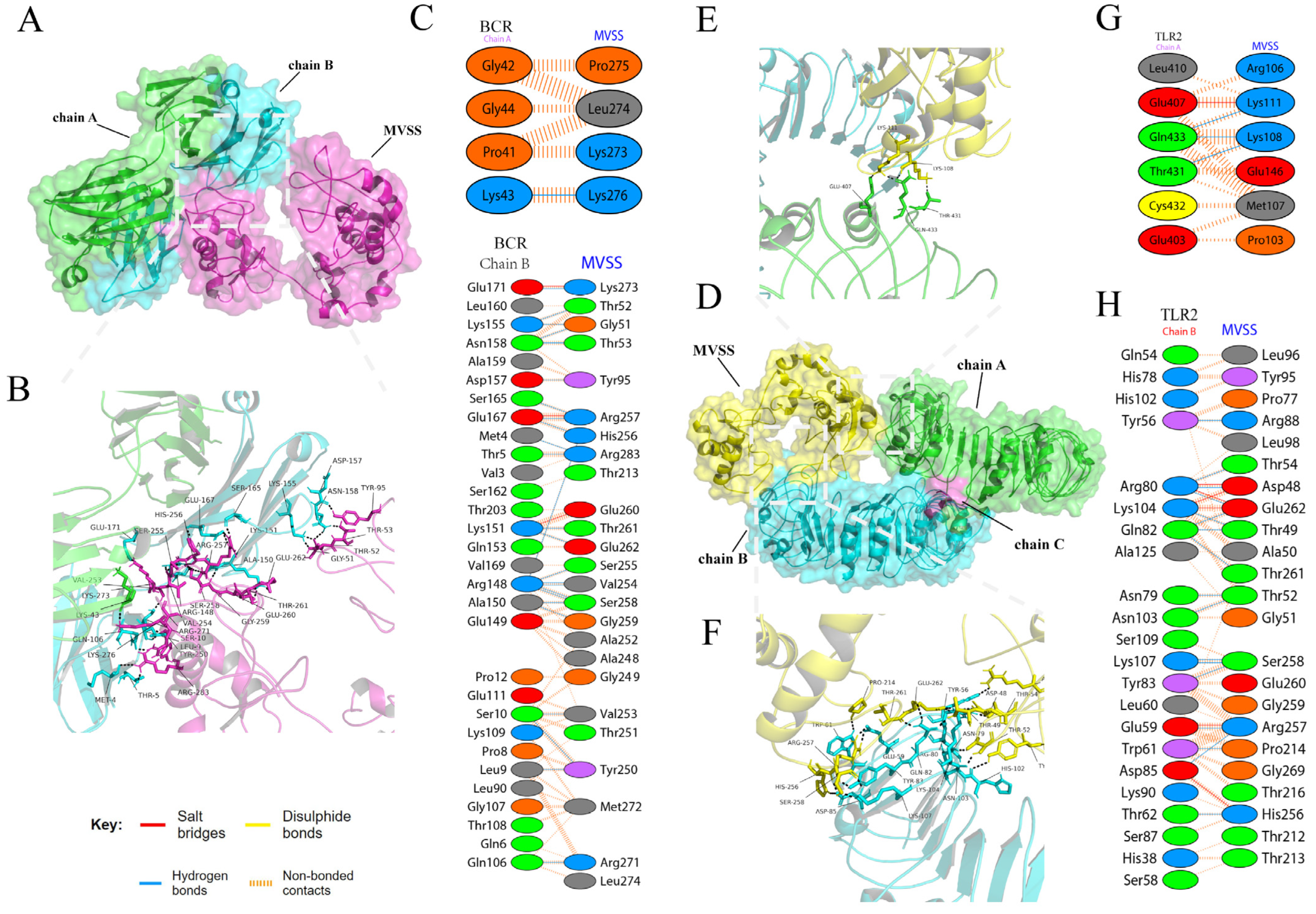 Vaccines 12 00137 g004