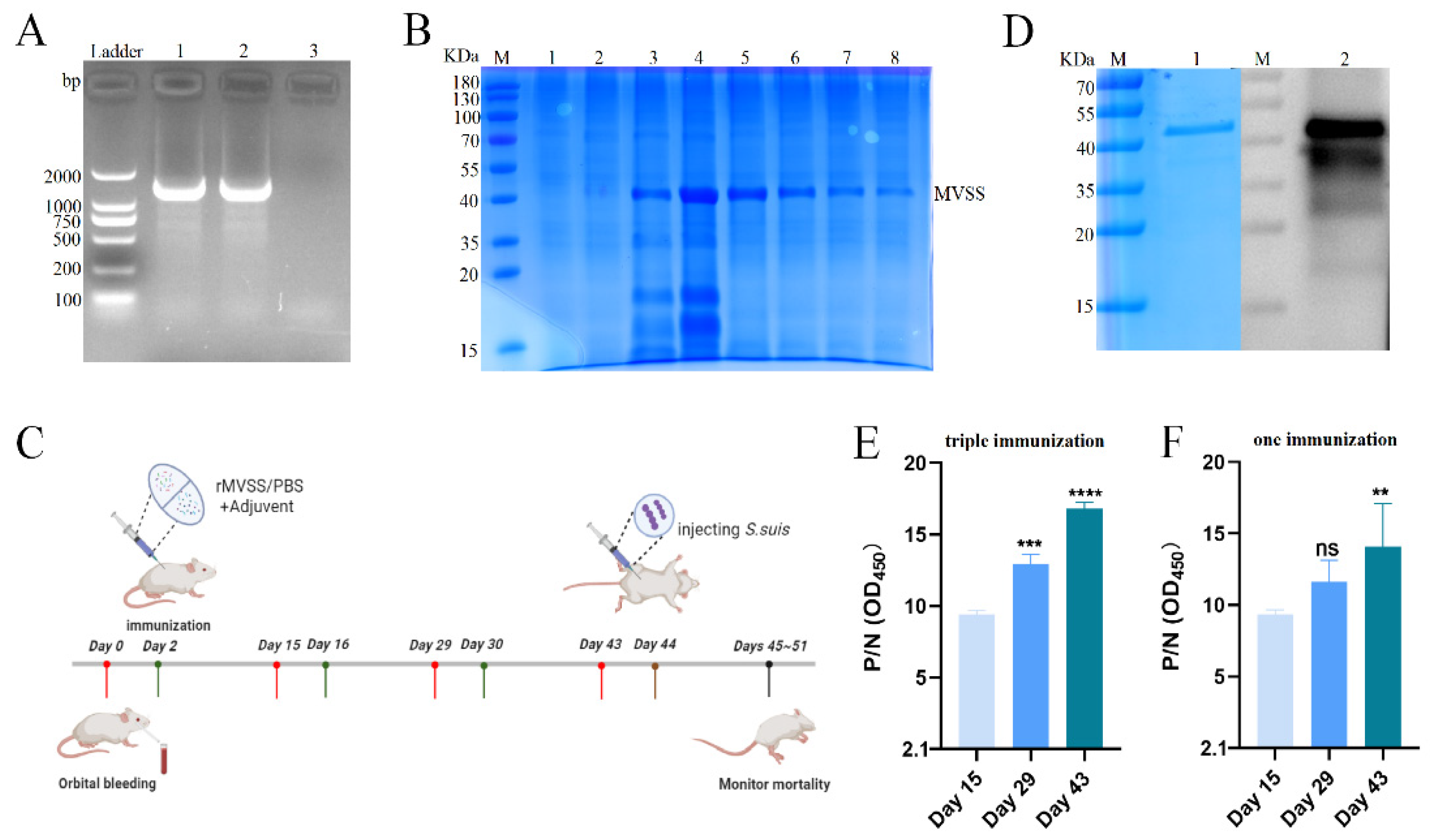 Vaccines 12 00137 g005