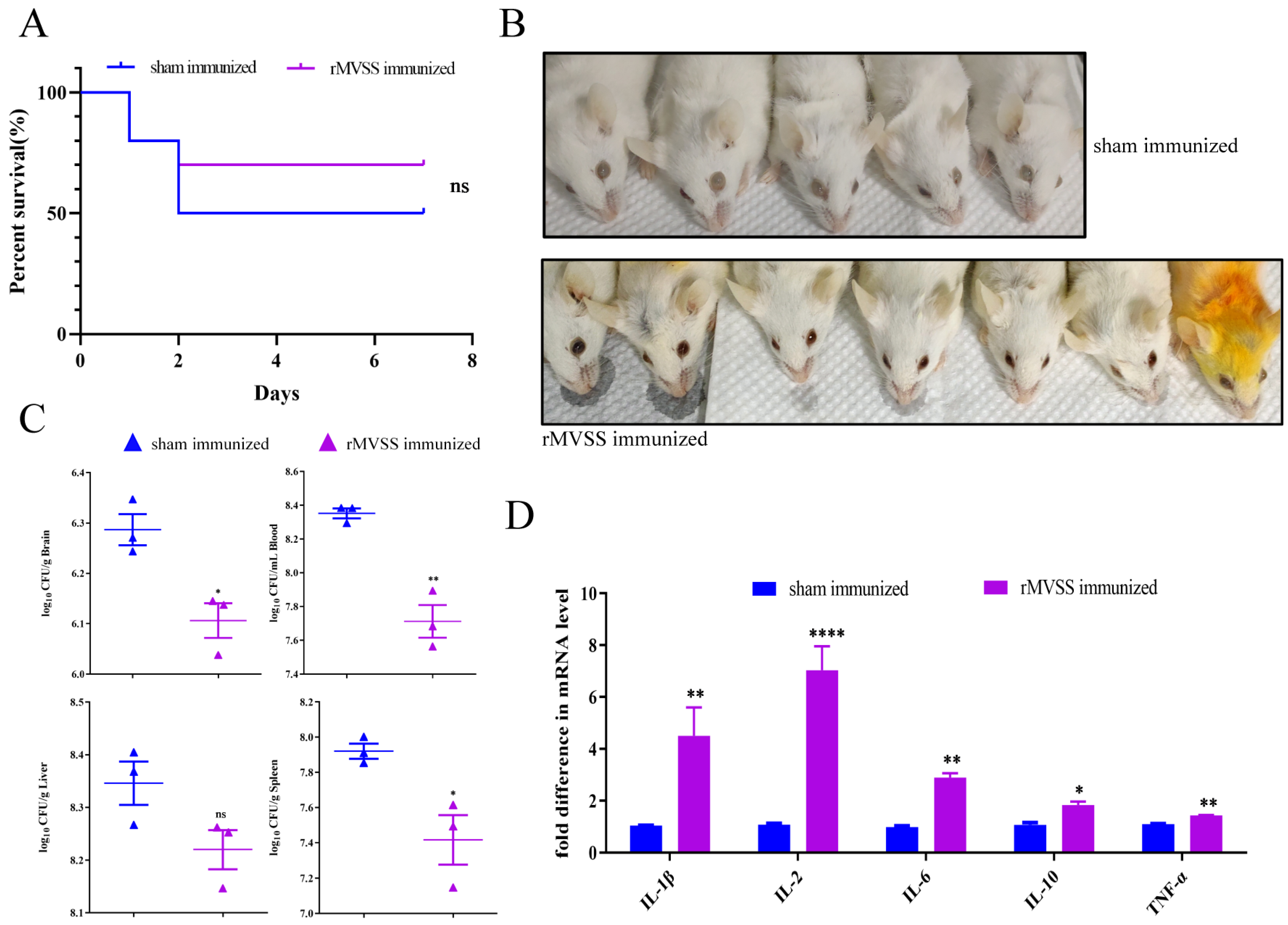 Vaccines 12 00137 g007
