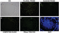 Vetsci 01 00005 g001 200