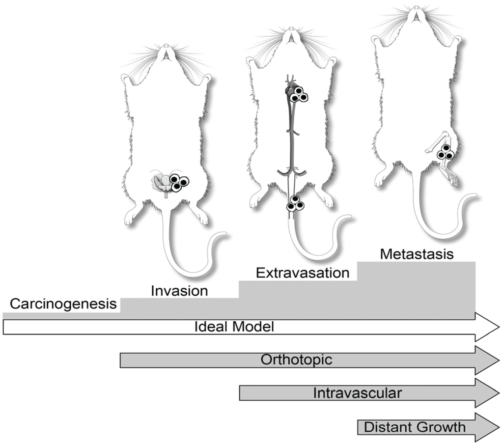 Vetsci 01 00016 g001 1024