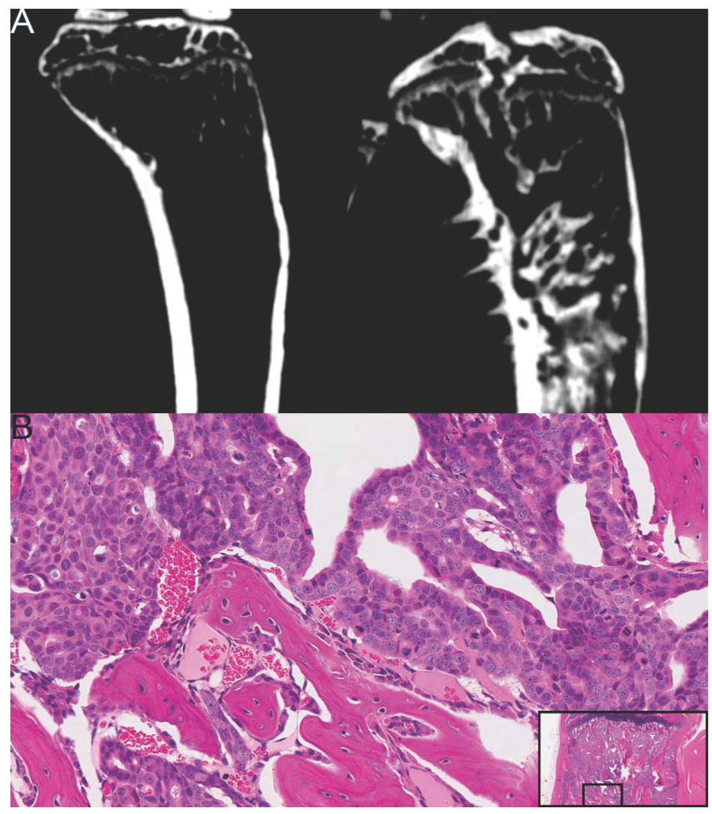 Vetsci 01 00016 g005 1024