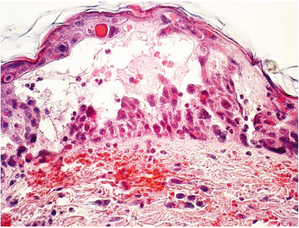 Vetsci 01 00040 g004 1024