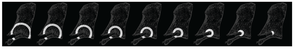 Vetsci 01 00096 g003 1024