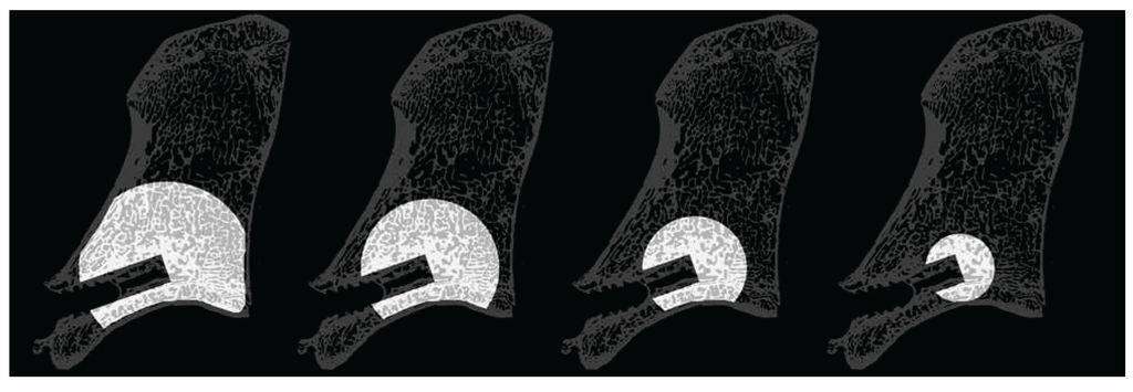 Vetsci 01 00096 g005 1024