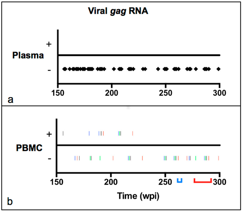 Vetsci 03 00010 g001 1024