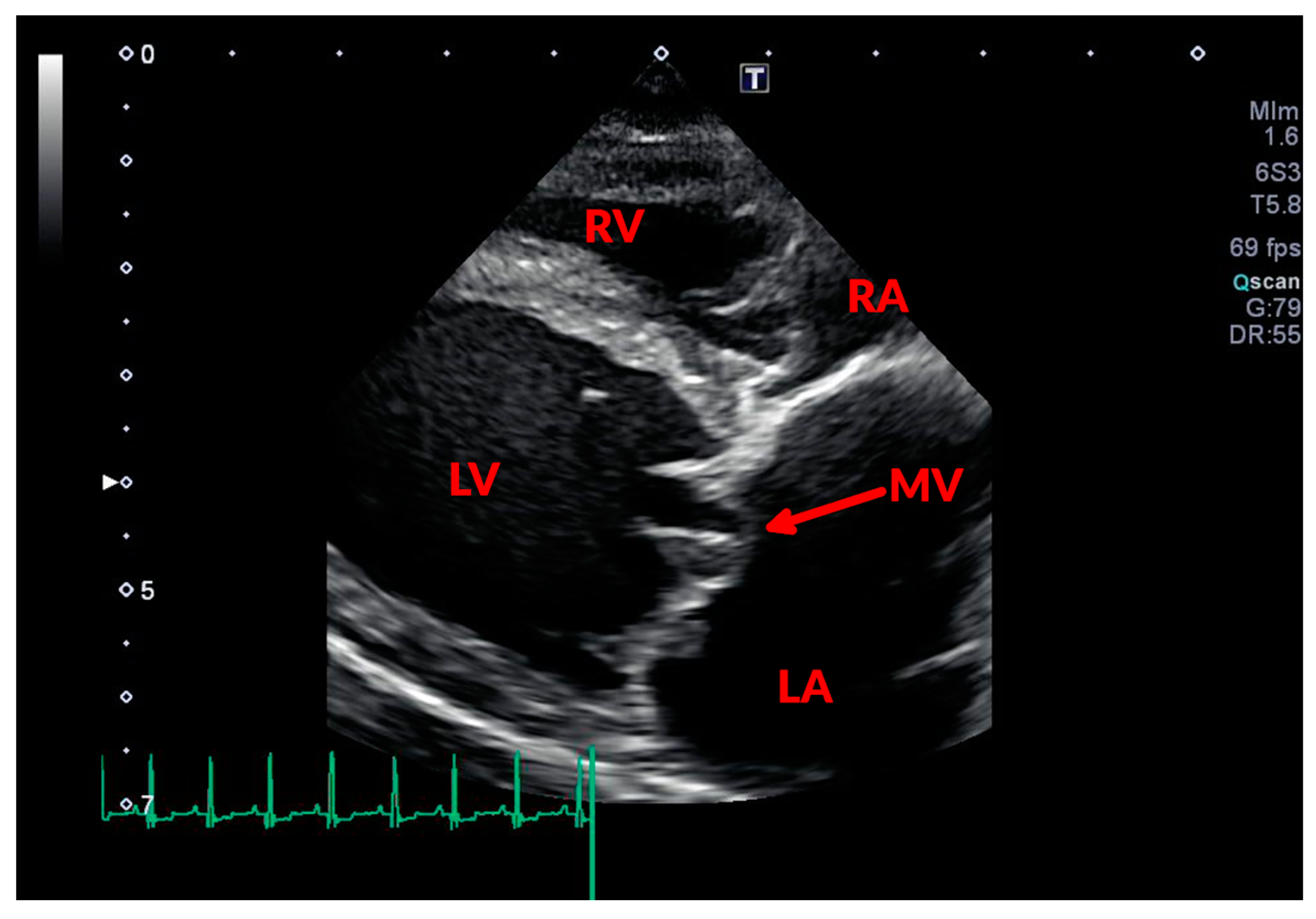 Vetsci 04 00047 g002