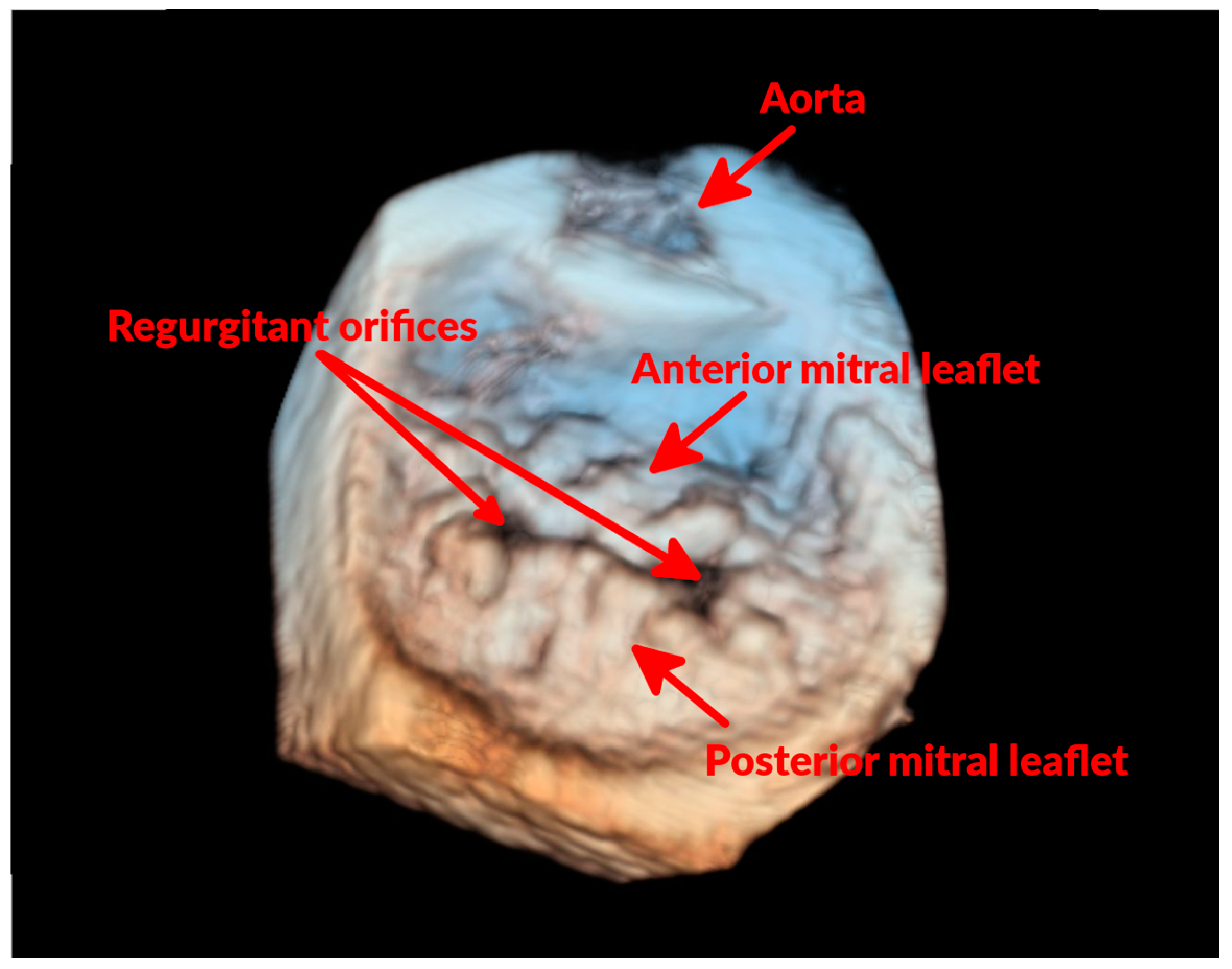 Vetsci 04 00047 g003