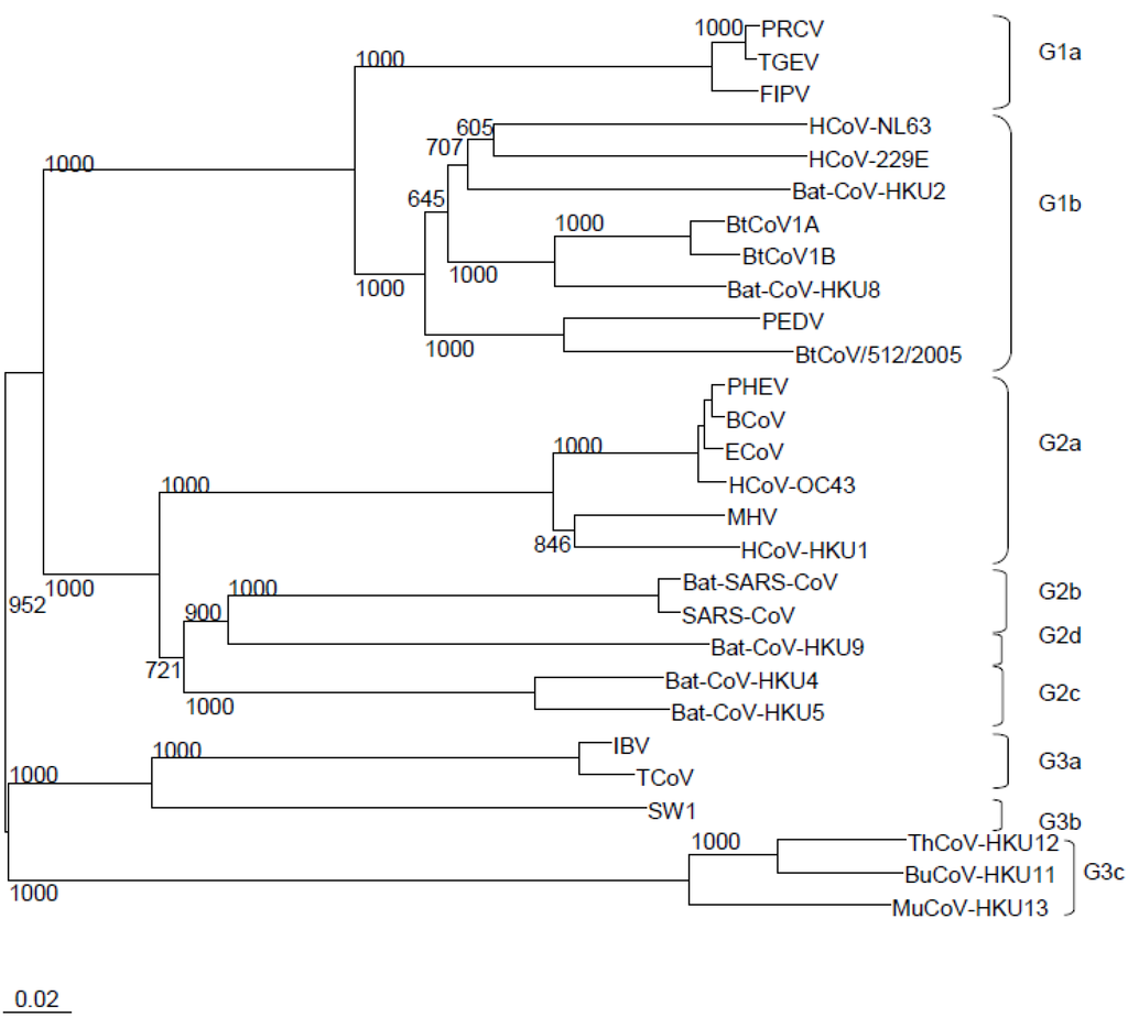 Viruses | Free Full-Text | More and More Coronaviruses: Human Coronavirus HKU1 | HTML1024 x 924