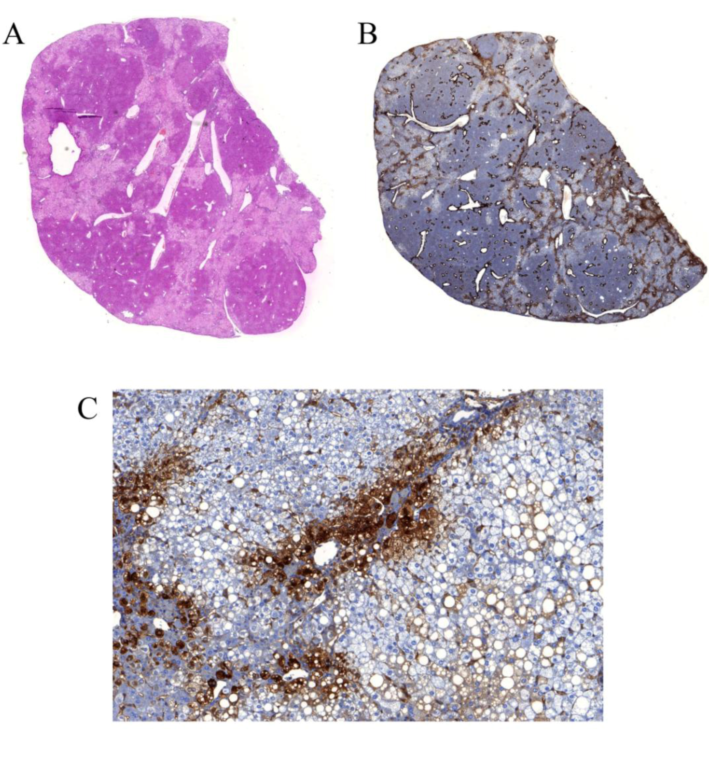 Viruses 01 00222 g001