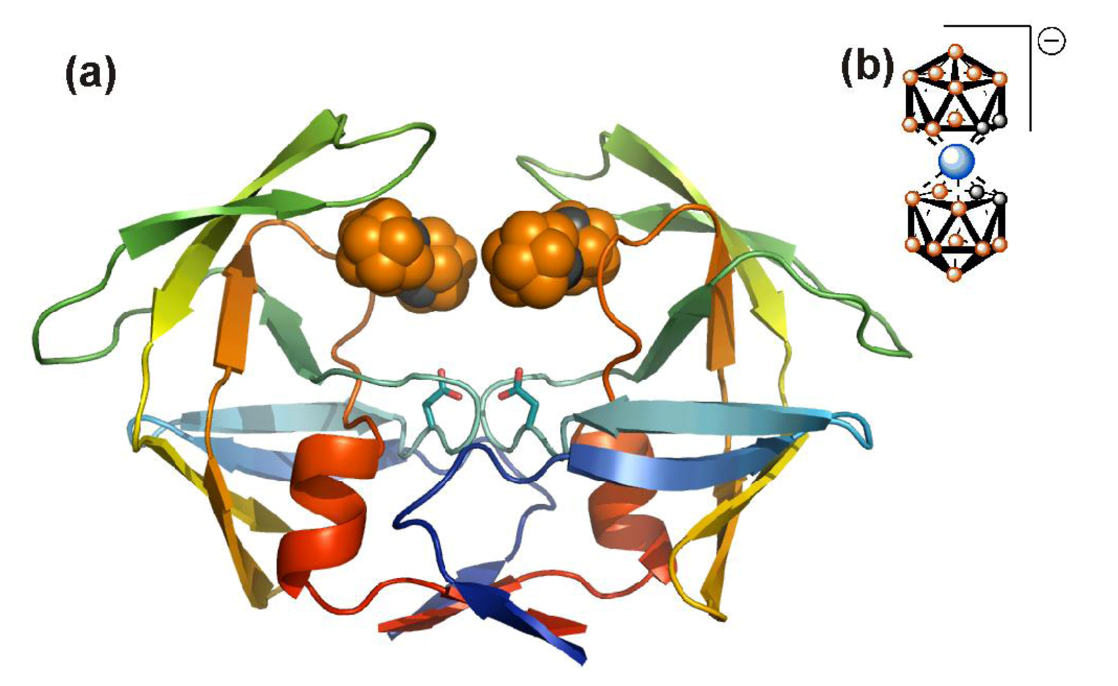 Viruses 01 01209 g007