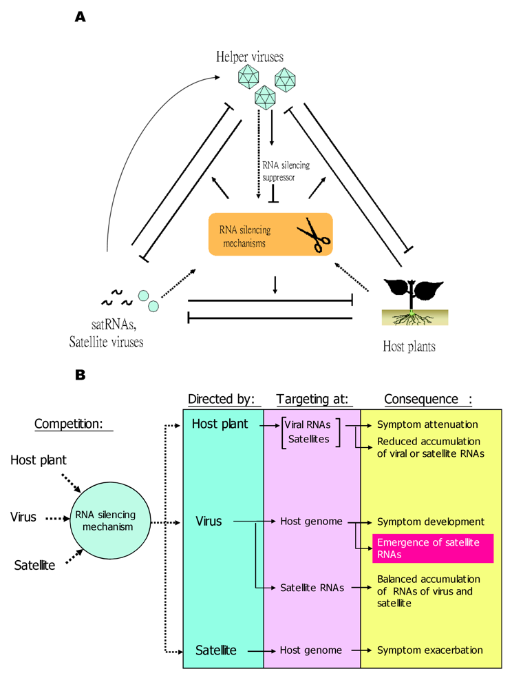 Virus satellites; Virus satellite