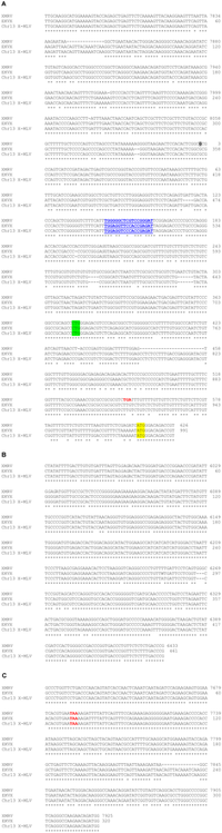 Viruses 03 02442 g003 200
