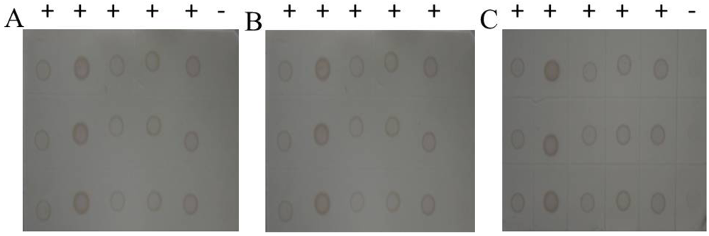 Viruses 04 00167 g002 1024