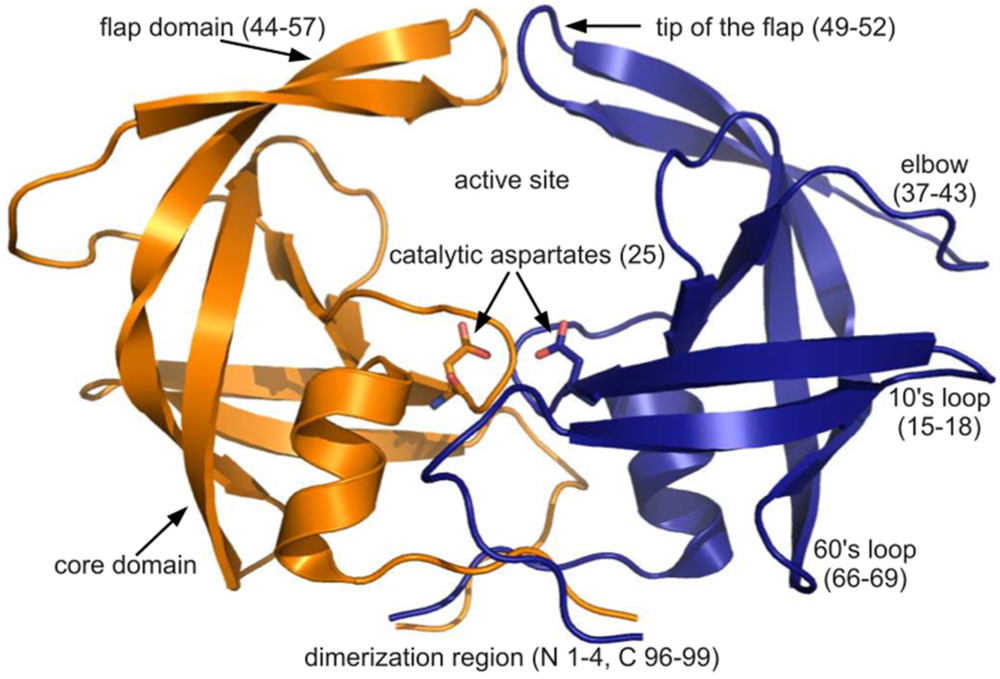 download enzymes in food processing