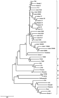 Viruses 04 00383 g002 200