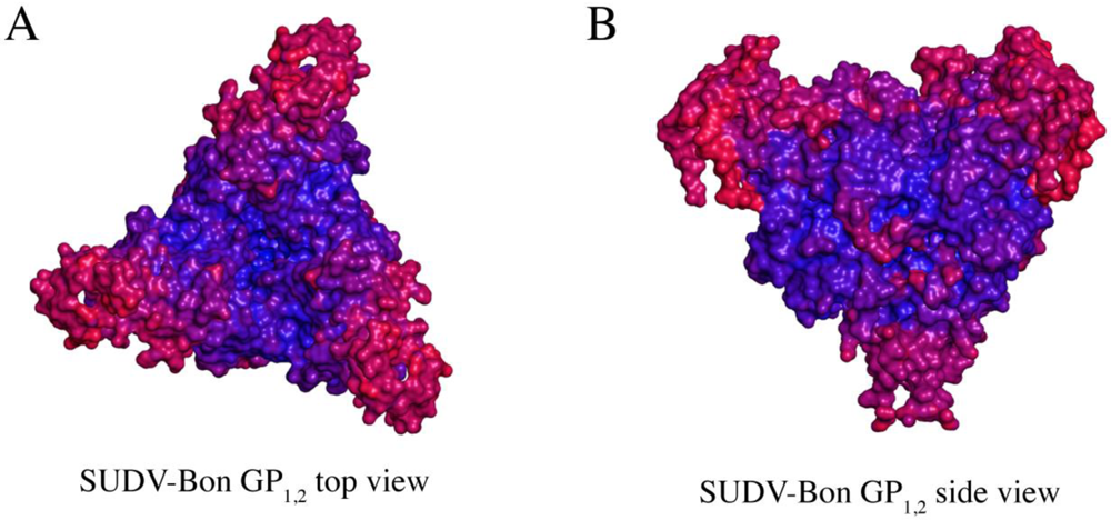 Viruses 04 00447 g005 1024