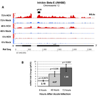 Viruses 04 00581 g006 200