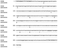Viruses 04 00889 g002 200