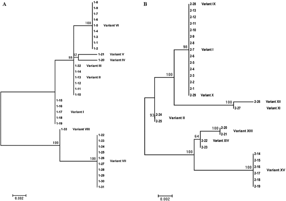 Viruses 04 00940 g004 1024