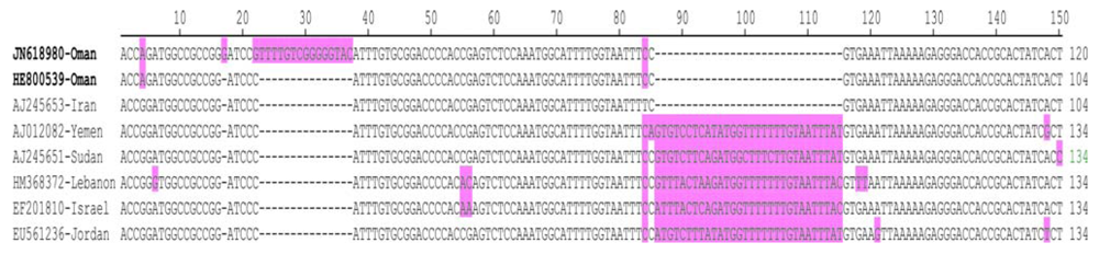 Viruses 04 01169 g002 1024