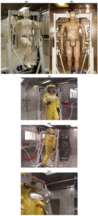 Viruses 04 01202 g001 200