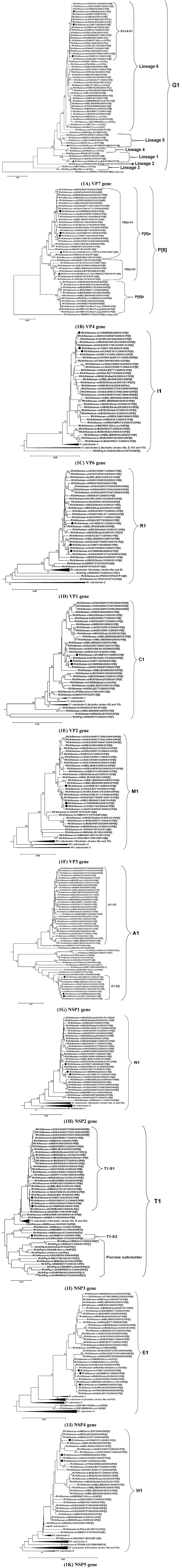 Viruses 04 01289 g001 1024