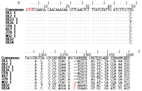Viruses 04 01548 g001 200
