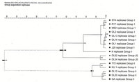 Viruses 04 01548 g002 200