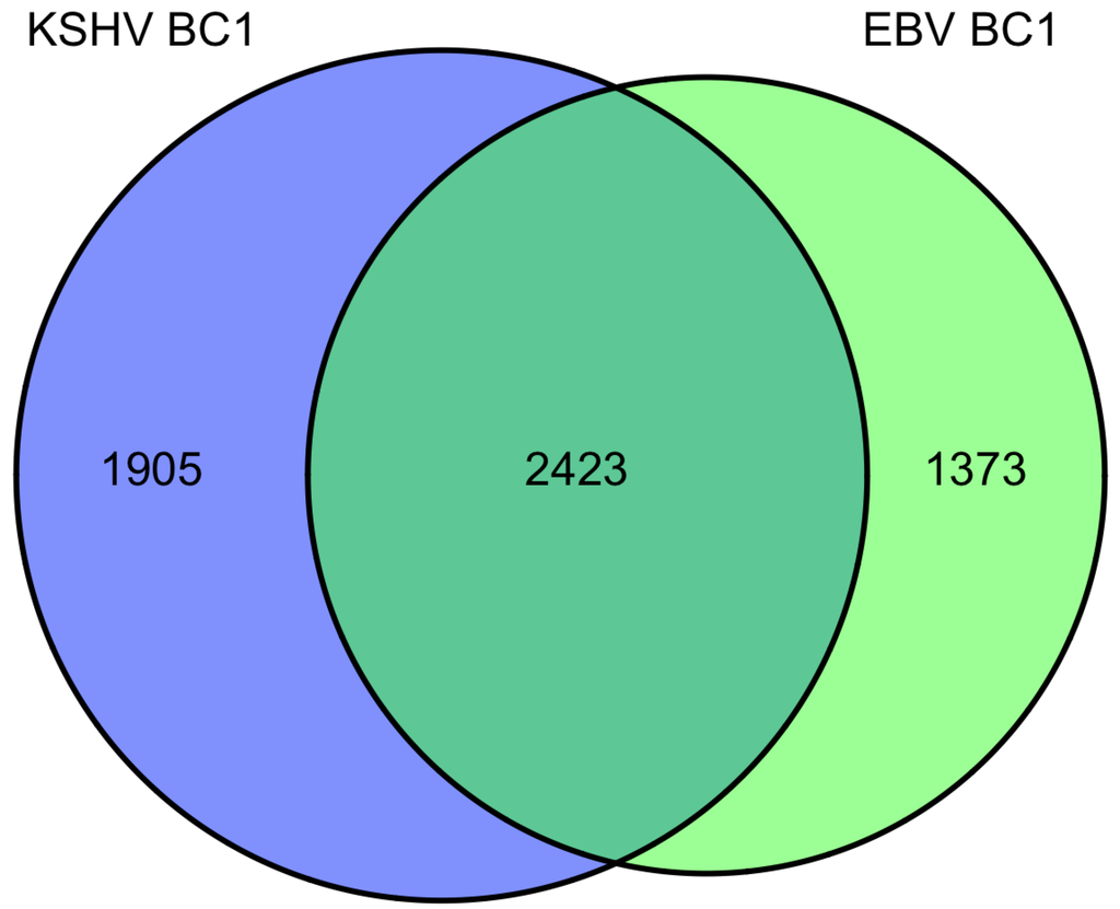 Viruses 04 01687 g001 1024
