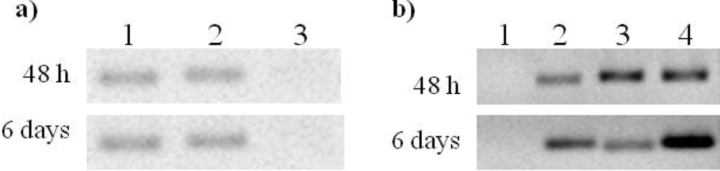 Viruses 04 01792 g003 1024