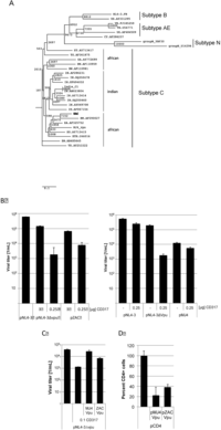 Viruses 04 01830 g004 200