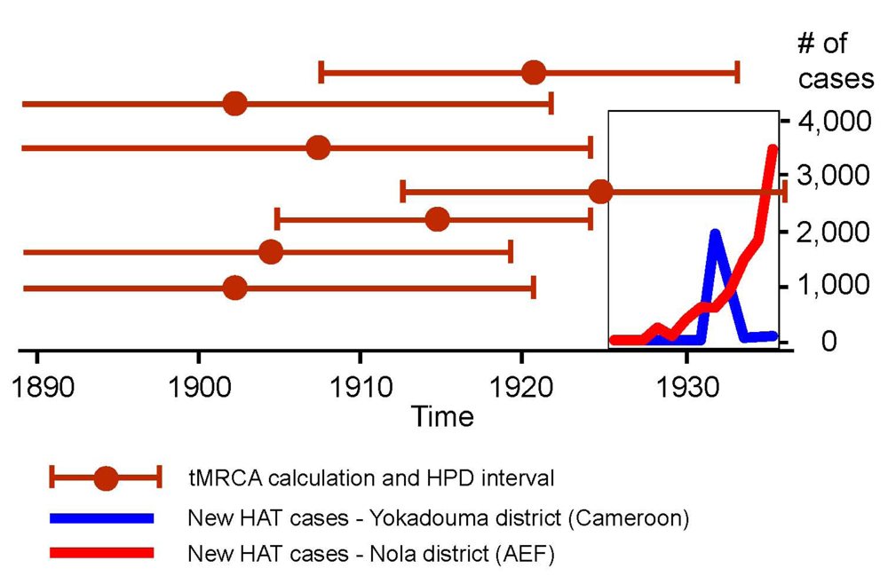 Viruses 04 01950 g003