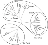 Viruses 04 02049 g001 200