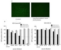 Viruses 04 02097 g004 200