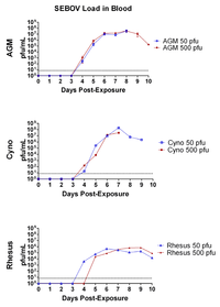 Viruses 04 02115 g006 200