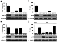 Viruses 04 02137 g006 200