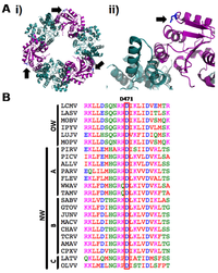 Viruses 04 02137 g009 200