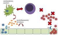 Viruses 04 02182 g003 200